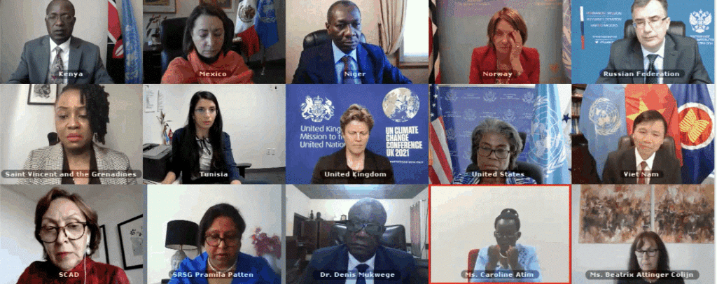 A screenshot of zoom meeting with Caroline presenting to the UN Security Council.