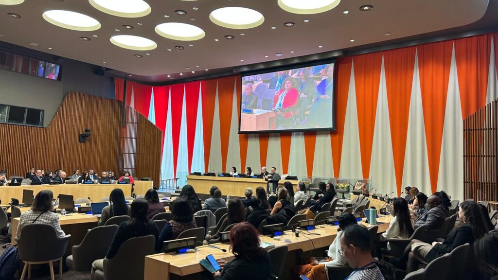 Meenu is projected on a large screen at the UNCSW70 side event.